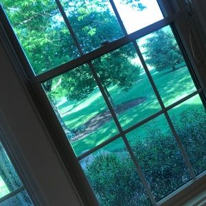 Meet your Posher, Josh